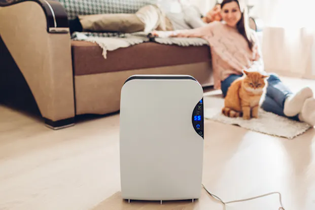 Bedste mobile aircondition 2026 - Woods, Electrolux og Point Pro
